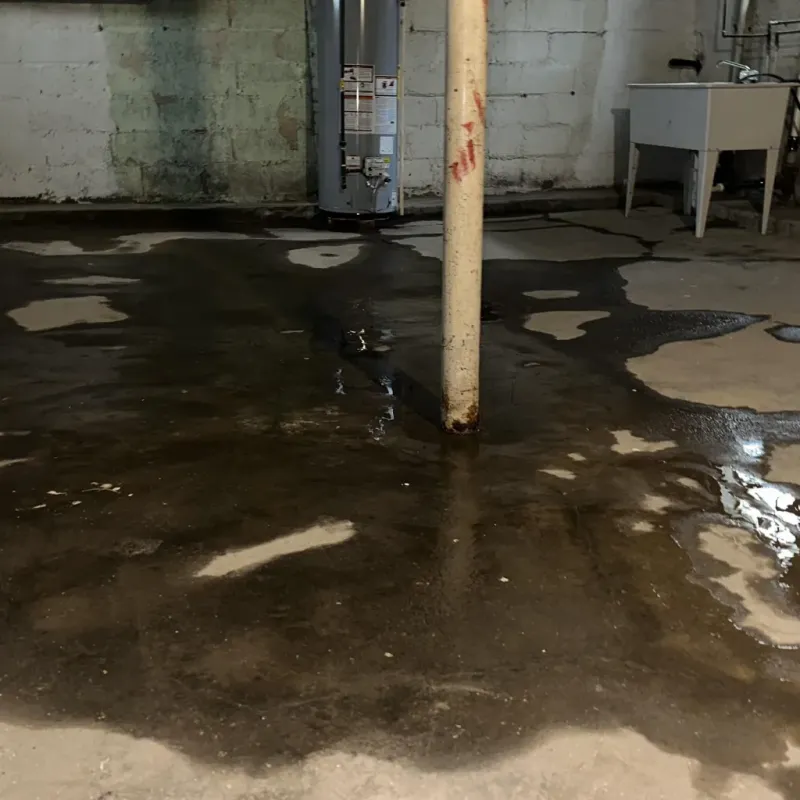 Emergency Water Extraction And Removal in Cherry Valley, IL